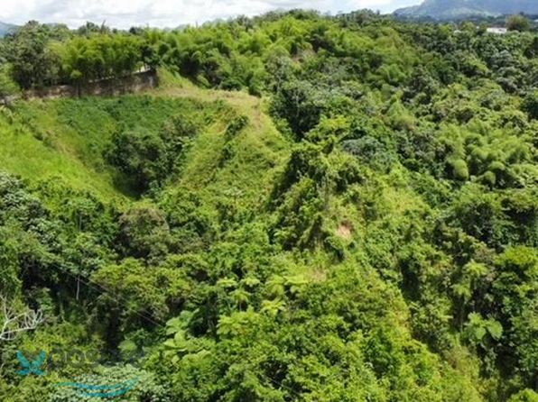 111 La Mula, Utuado, PR 00641