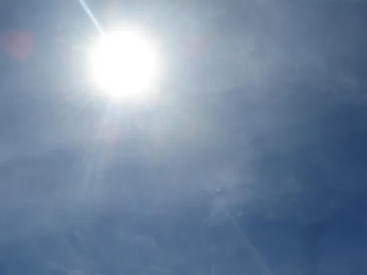 Rented by Immac Realty | media 38