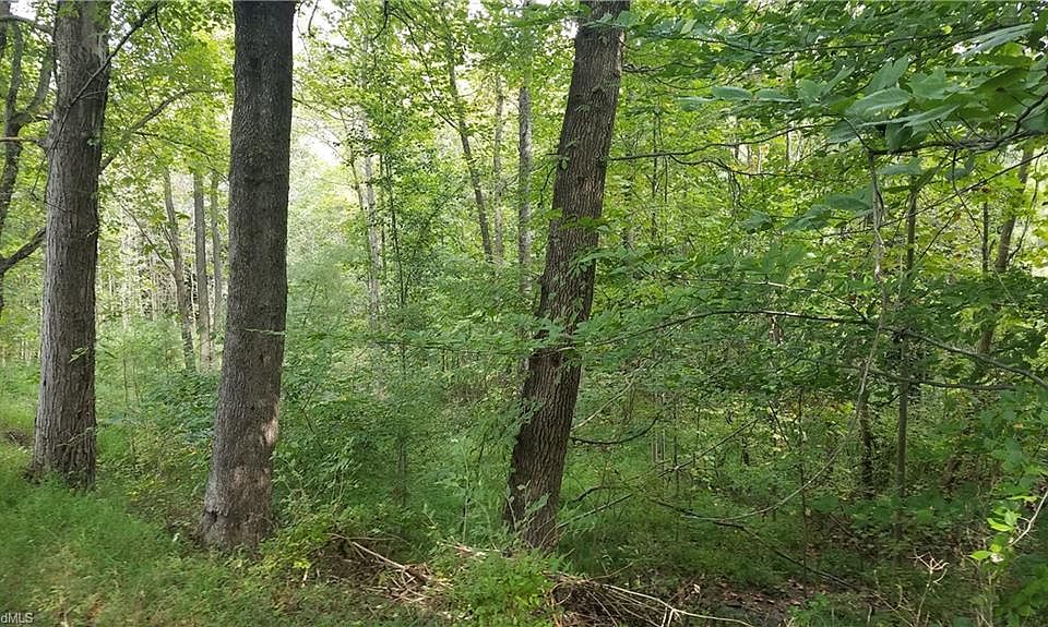 2nd image of 12 Noel Rd