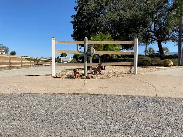 Cactus mailbox holder
