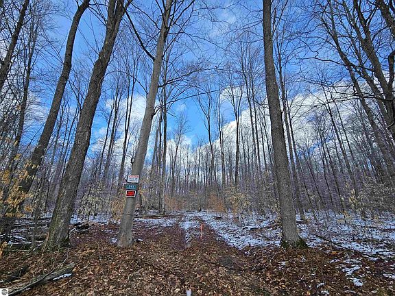 2nd image of 361 W Rhoby Rd