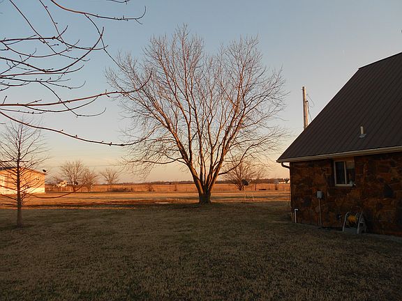 Maple tree Great for shade