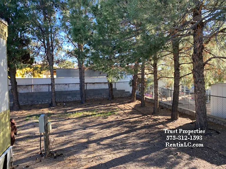 244 Mule Deer Dr — Photo 7