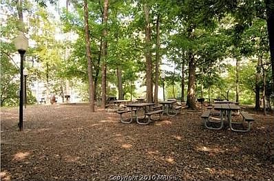 2nd image of 5902 Mount Eagle Dr APT 706