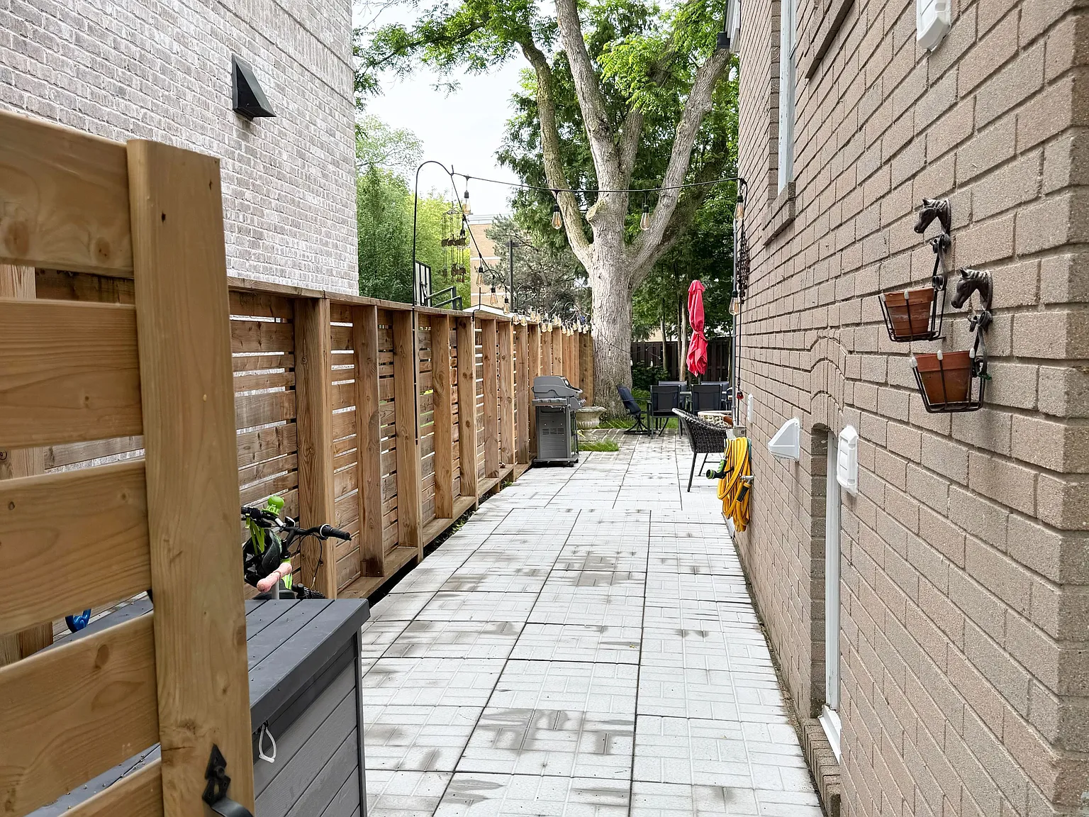 1 bed, $1,450 — Photo 3