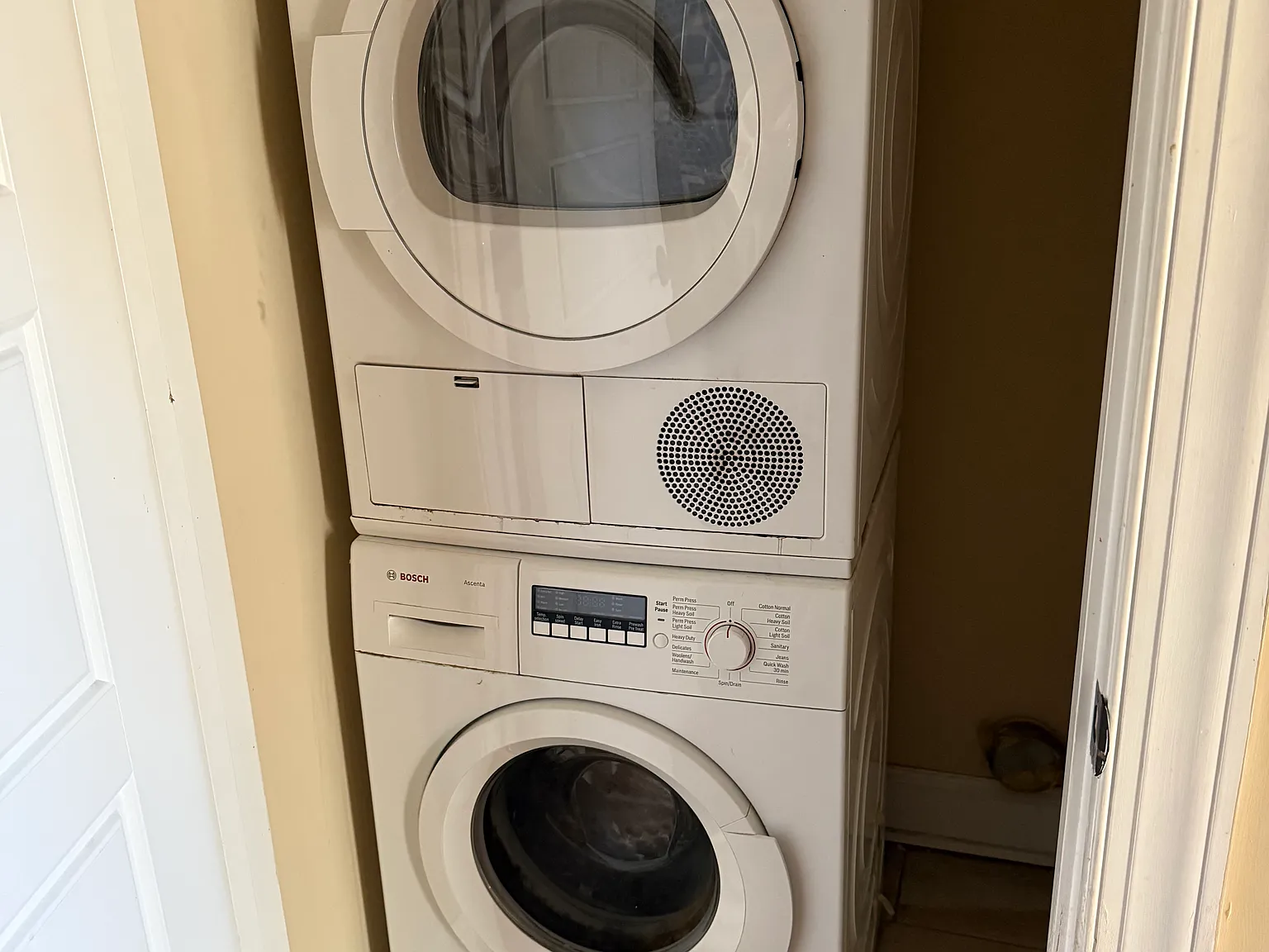 2 bed, 800 sqft, $1,195 — Photo 3