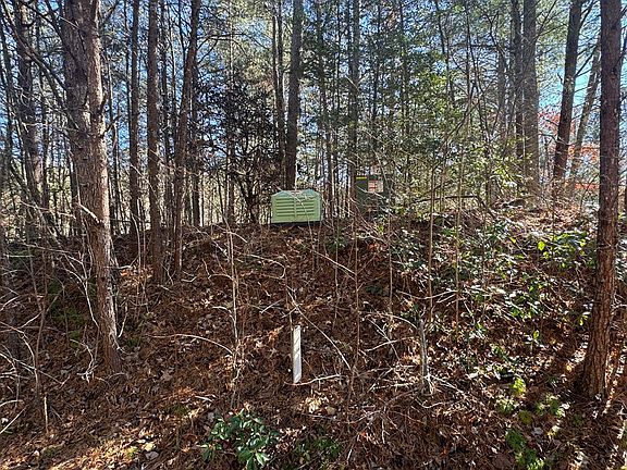 5th image of LOT 33 E Ridge Ln