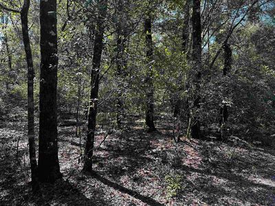 Clay Revell Rd, Sopchoppy, FL, 32358