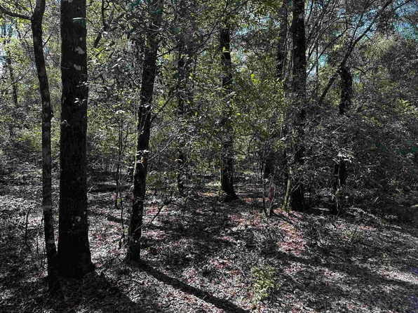 Clay Revell Rd, Sopchoppy, FL 32358