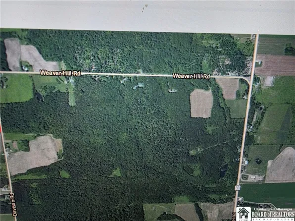 (undisclosed Address), Cherry Creek, NY 14723