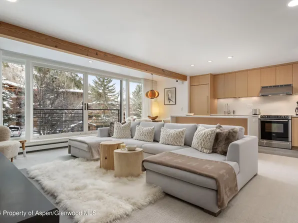 728 S Galena St #102B, Aspen, CO 81611