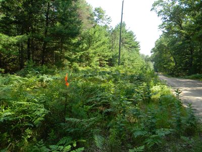 N 56th Ave PARCEL B, Pentwater, MI, 49449