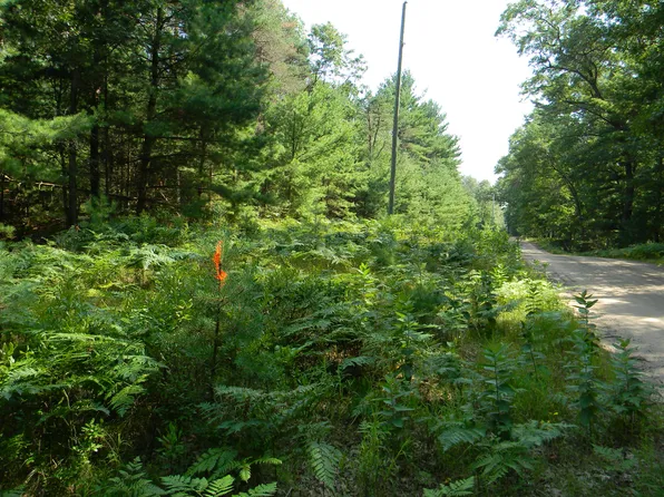 N 56th Ave Parcel B, Pentwater, MI 49449