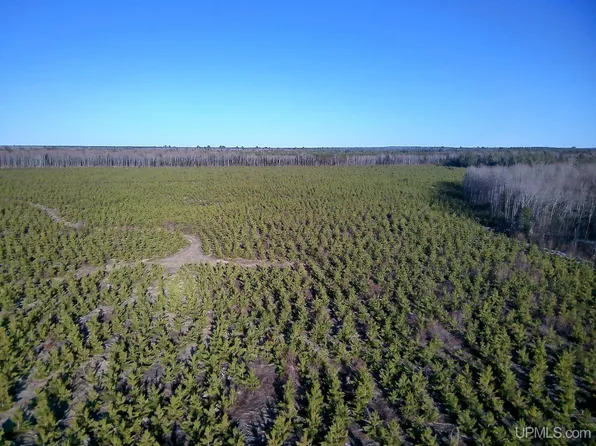 TBD PARCEL 3 16 Mile Lake Rd, Au Train, MI 49806