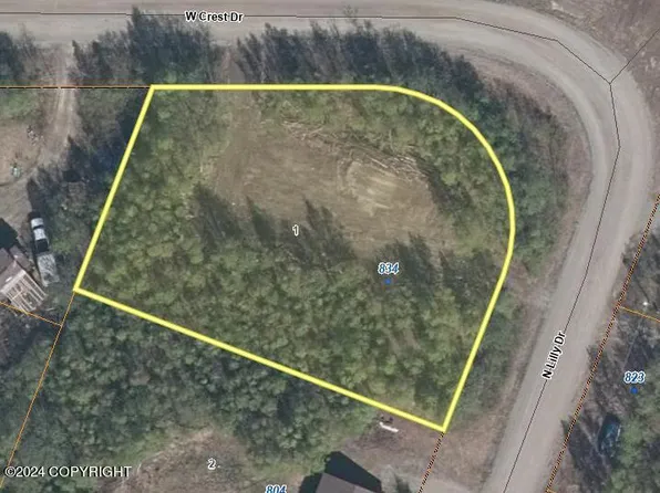 834 N Lilly Dr, Big Lake, AK 99652