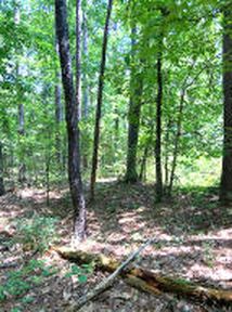 (Undisclosed Address), Fairfield Bay, AR, 72088