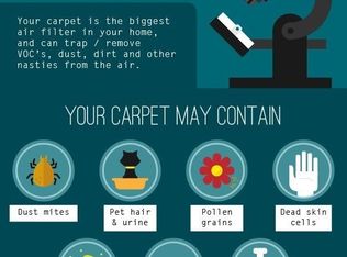 7516 Renton Ave S APT B, Seattle, WA 98118