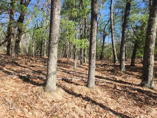 8290 W Buttercup Ave, Baldwin, MI 49304