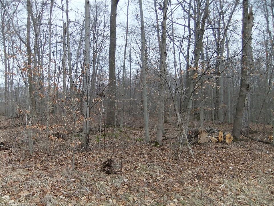 2nd image of 7466 Dines Rd