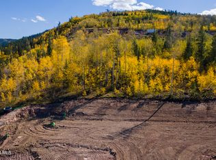 294 Night Hawk Ct, Granby, CO 80446