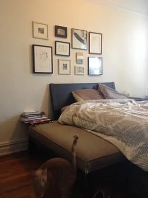 Rented by A D Shaye Realty Group  | media 16