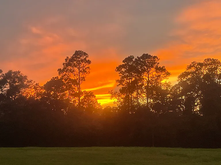 Wild Turkey Rd — Photo 11