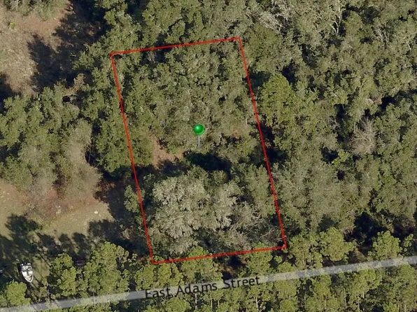 3735 E Adams St, Hernando, FL 34442