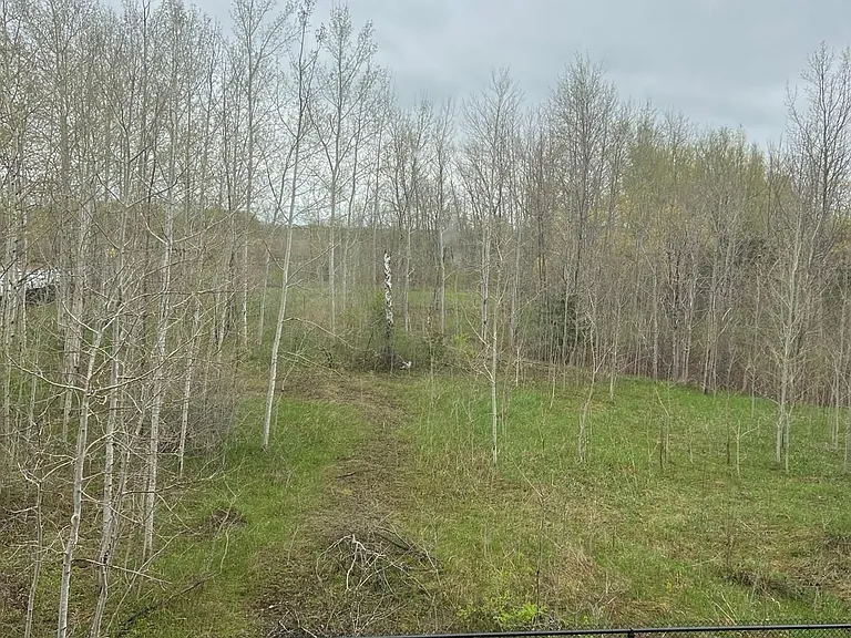 303 Starlight Ave — Photo 11