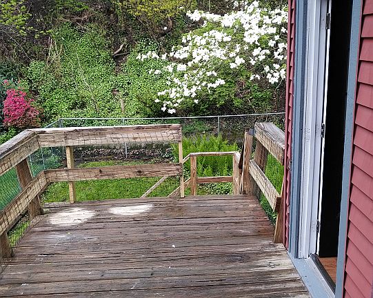 Secluded Deck off the back surrounded by colorful plant life