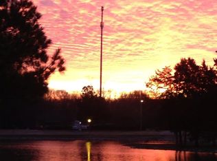 5046 Springtree Dr, Arlington, TN 38002