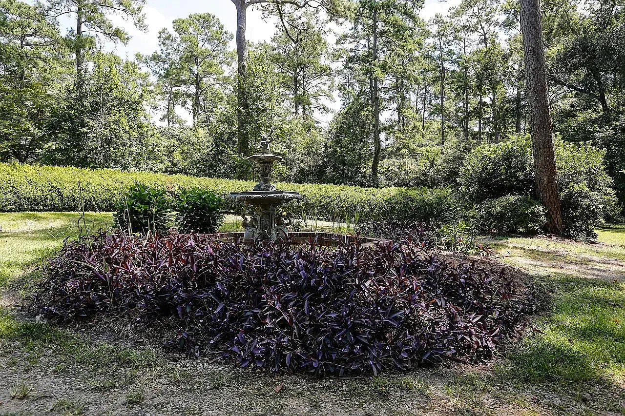 3 bed, 2.5 bath, 2696 sqft, $2,695 — Photo 3