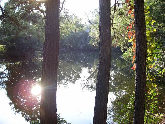 View of Lake in Back