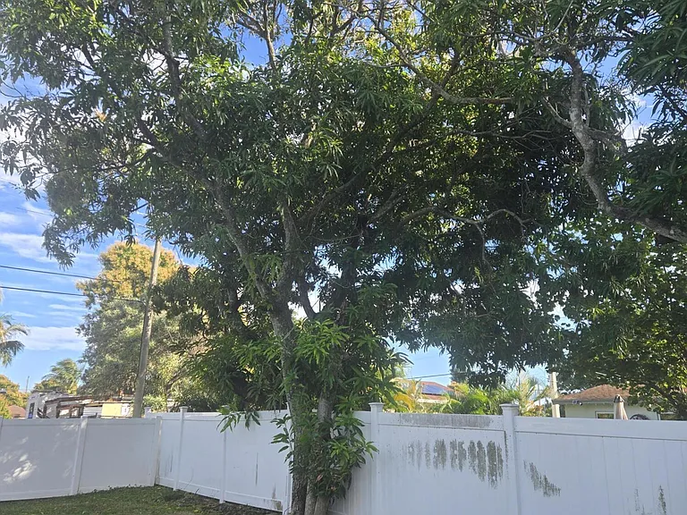 309 NW 6th Ave — Photo 16