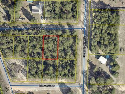 4 Cranebill Pl, Defuniak Springs, FL, 32433