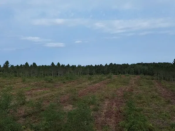21XX Ellison Lake Road, Barnes, WI 54873