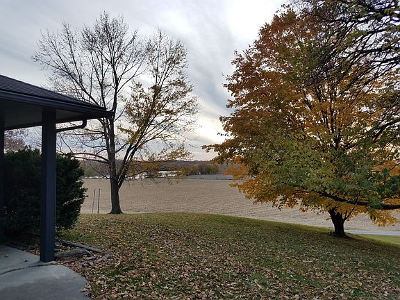 Front yard 