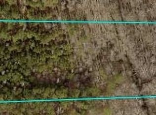 660 Couch Rd, Senoia, GA 30276