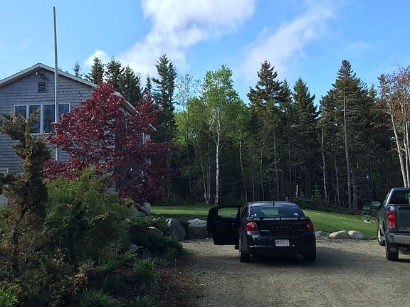 Driveway and side lawn