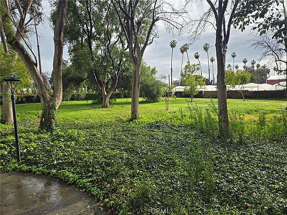 5th image of 2764 Tropicana Dr