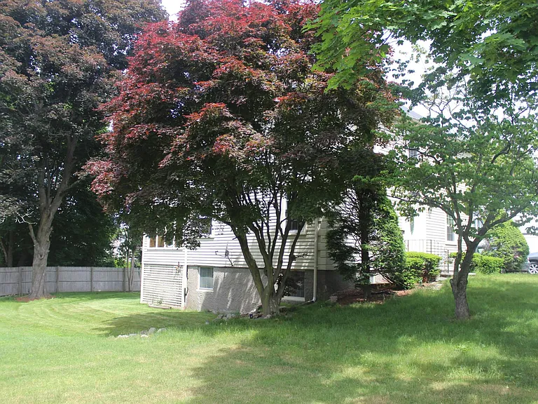Left side view of the house