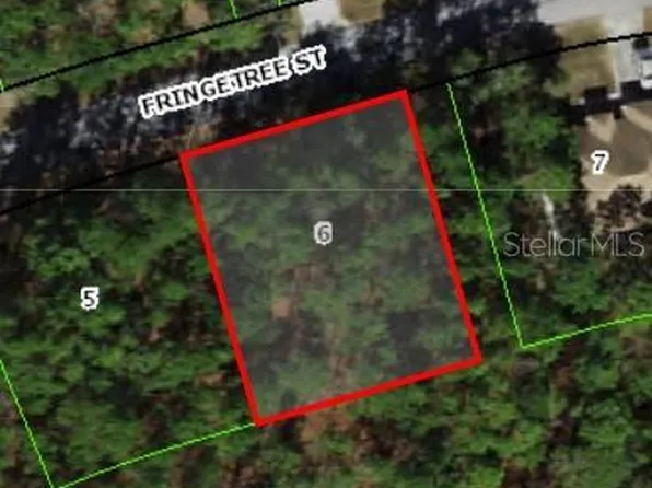 39 Fringetree St Lot 6, Homosassa, FL 34446