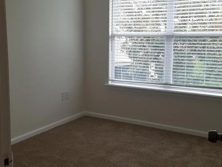 3940 Ivory Xing — Photo 12