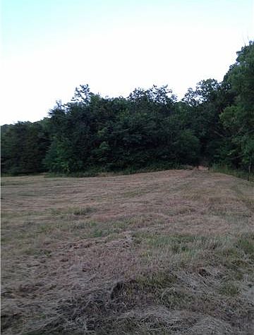 2nd image of 0 Sulphur College Rd