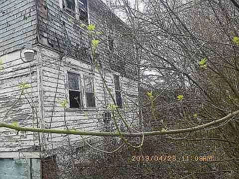 4619 Bewick