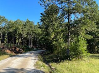 378 Chandler Rd, Auburn, GA 30011