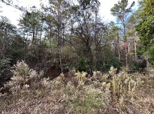 177th Rd LOT 13, Live Oak, FL 32060