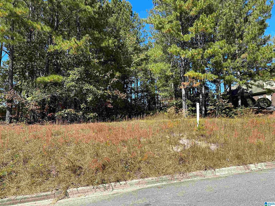 2nd image of 9508 Ambrose Ln Lot 34