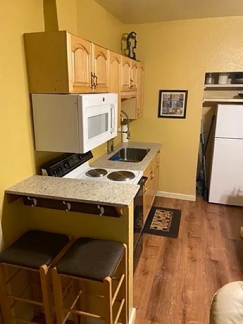1 bed, $1,399 — Photo 3