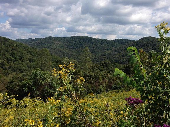 3rd image of 6 95th Acres