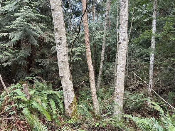 3 xx Thunder Road, Port Townsend, WA 98368